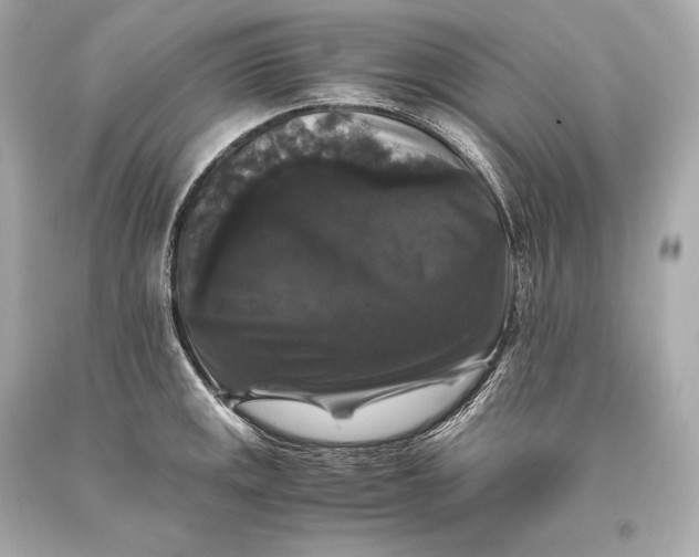 X0000093371141200711011223