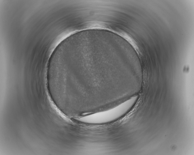 X0000093371142200711011223