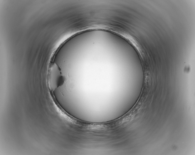 X0000093371143200711011223