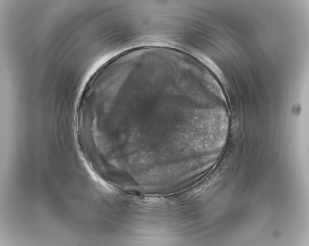 X0000093371144200711011223