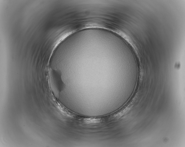 X0000093371145200711011223