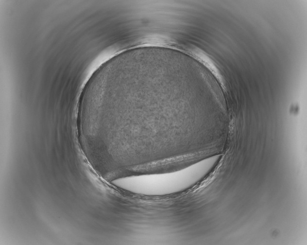 X0000093371146200711011223