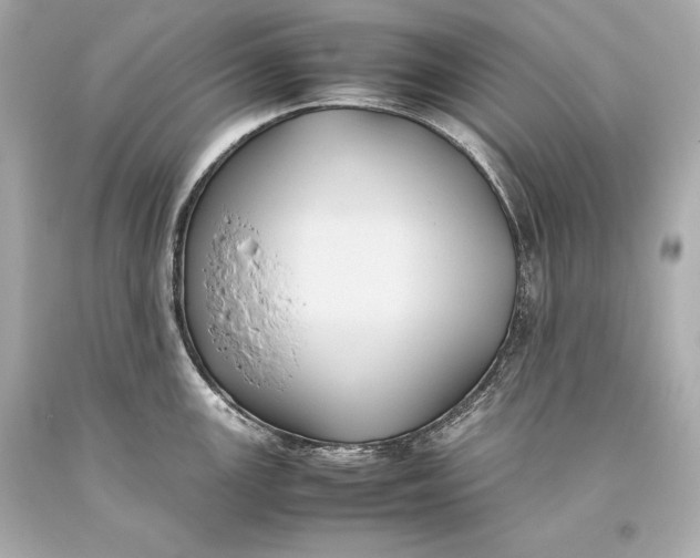 X0000093371147200711011223