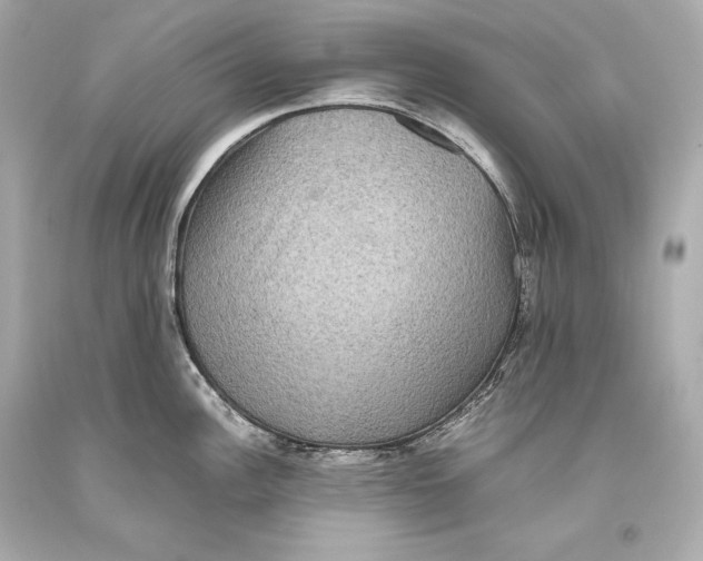 X0000093371148200711011223