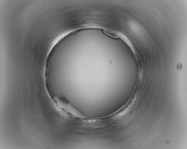 X0000093371149200711011223