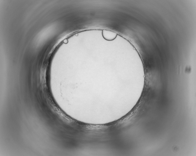 X0000093371150200711011223