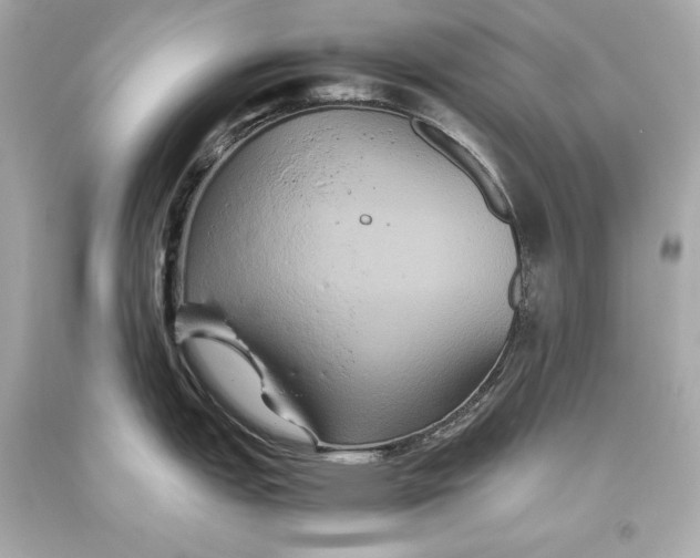 X0000093371151200711011223