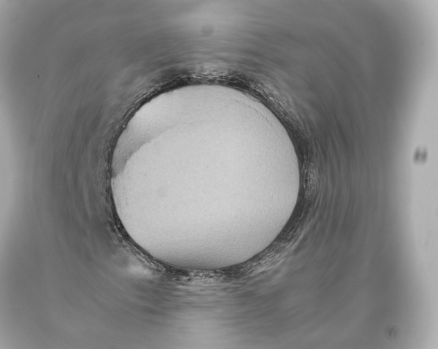 X0000093371153200711011222