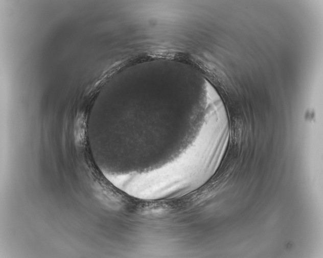 X0000093371154200711011222