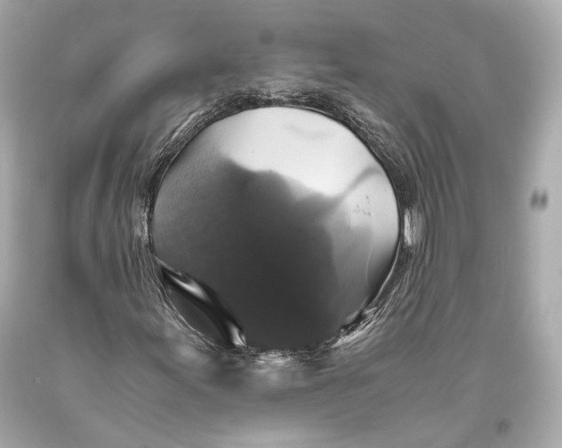 X0000093371155200711011222