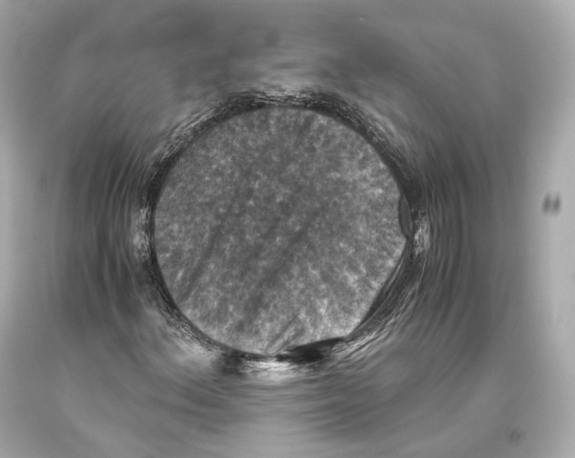 X0000093371156200711011222