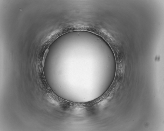 X0000093371157200711011222