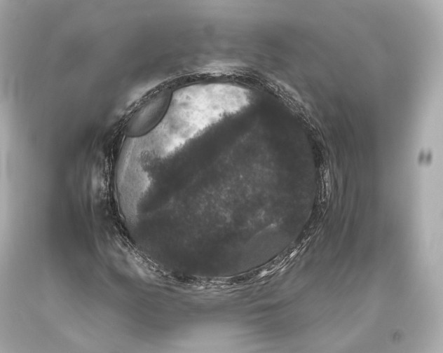 X0000093371158200711011222