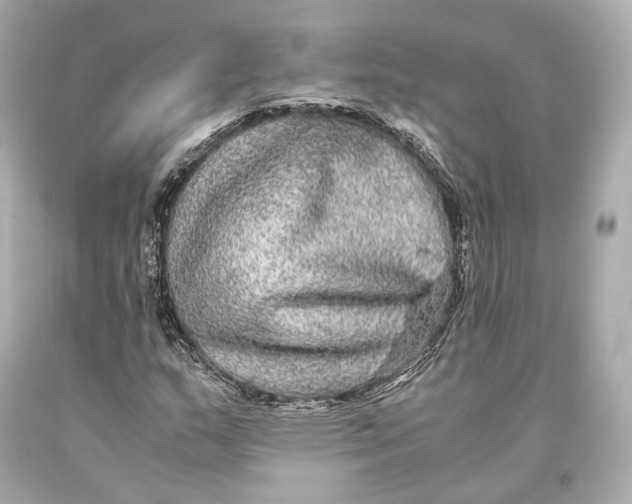 X0000093371159200711011222