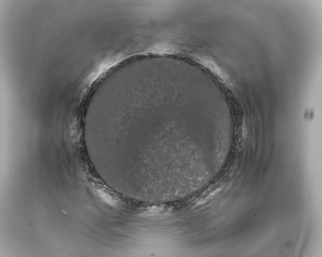 X0000093371160200711011222