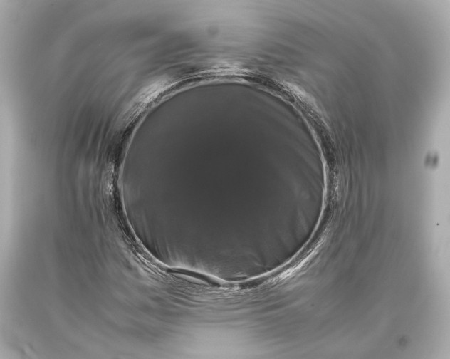 X0000093371161200711011222