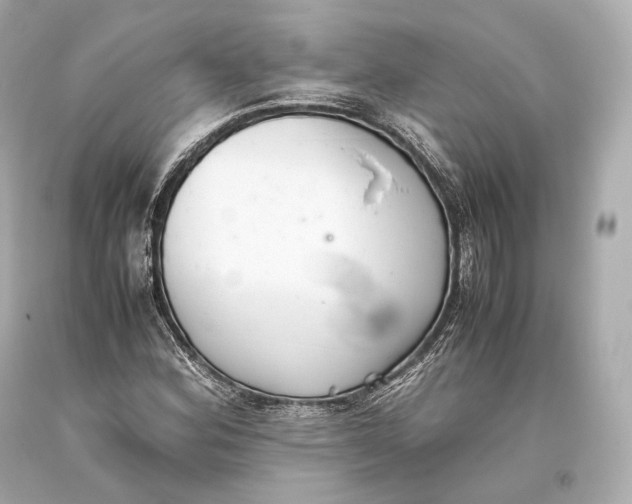 X0000093371164200711011222