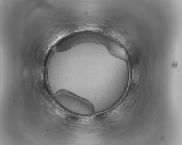 X0000093371165200711011222