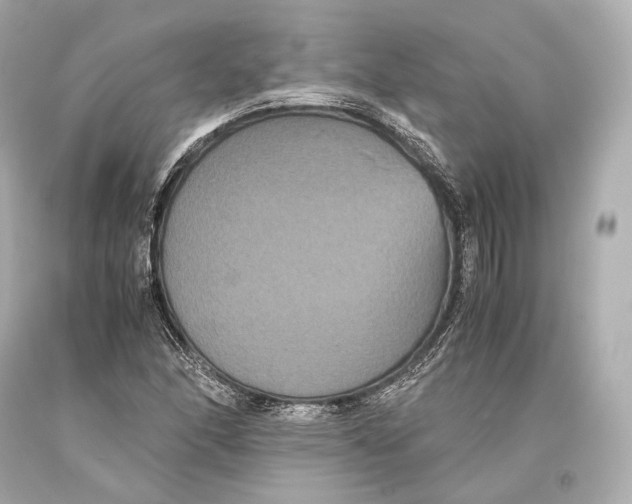 X0000093371166200711011222