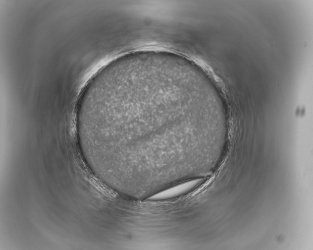 X0000093371167200711011222