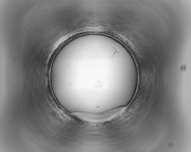 X0000093371168200711011222