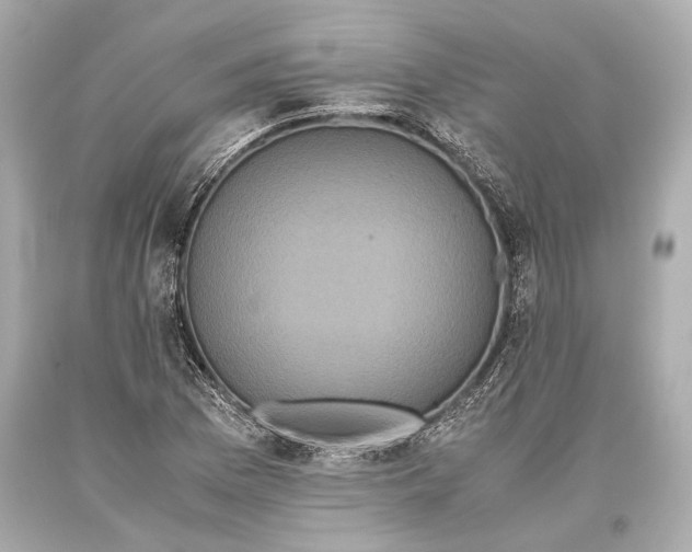 X0000093371169200711011222