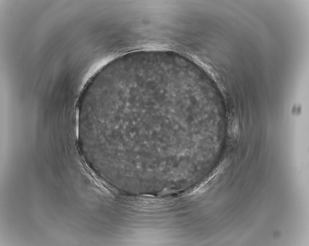 X0000093371171200711011222