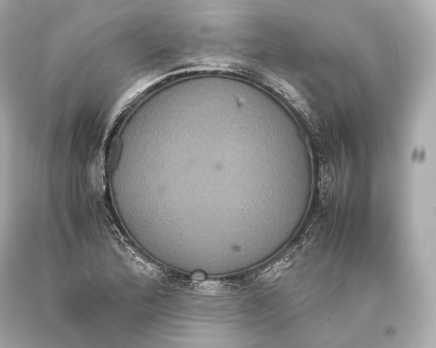 X0000093371172200711011222