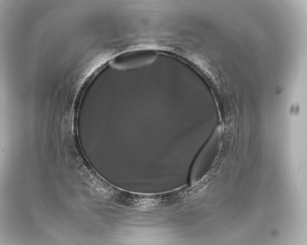 X0000093371173200711011222