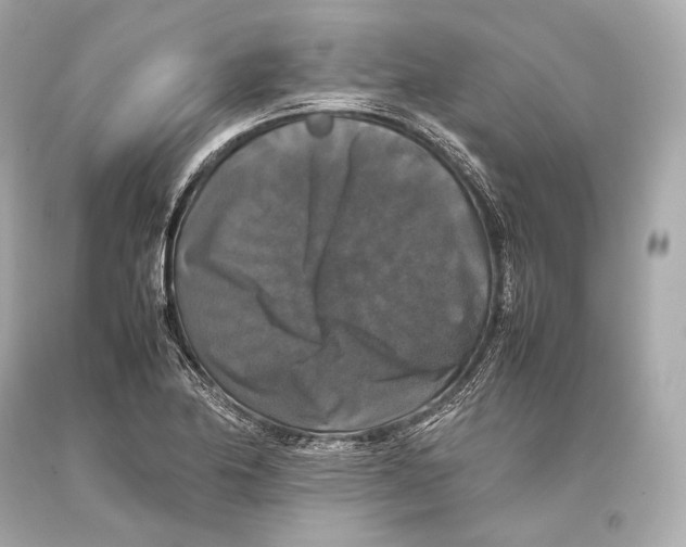 X0000093371174200711011222