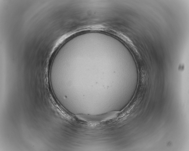 X0000093371176200711011222