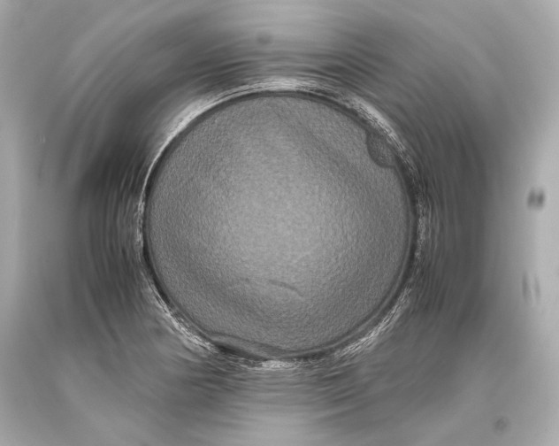 X0000093371178200711011222