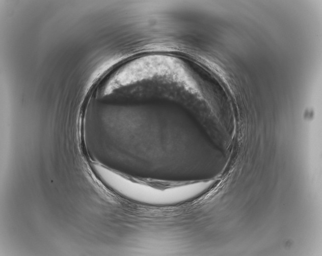 X0000093371179200711011222