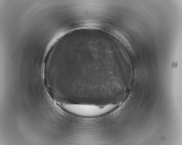 X0000093371180200711011222