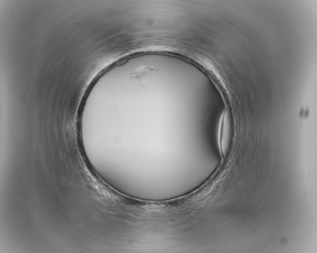 X0000093371181200711011222