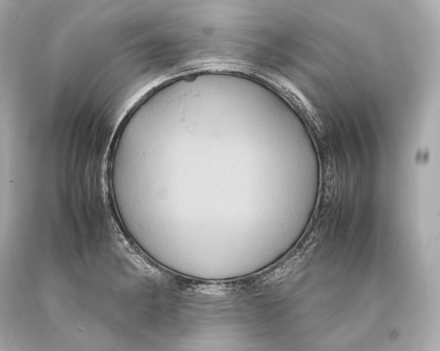 X0000093371182200711011222