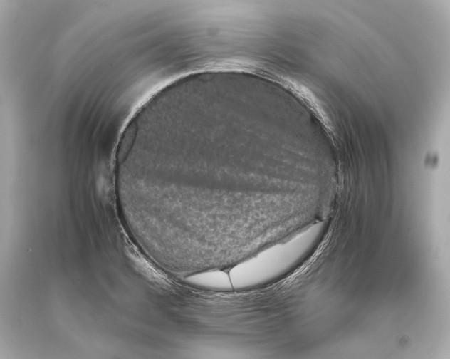 X0000093371184200711011222