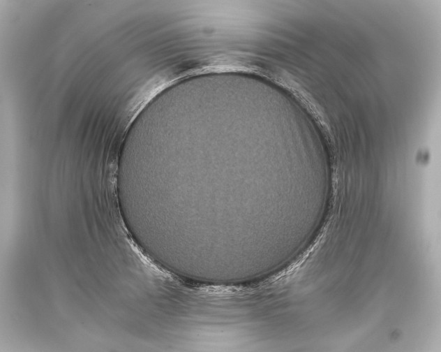 X0000093371185200711011222