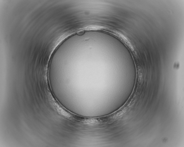 X0000093371186200711011222