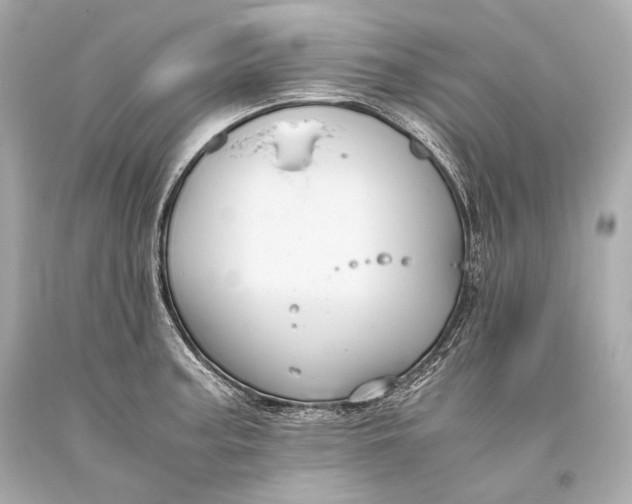 X0000093371187200711011222