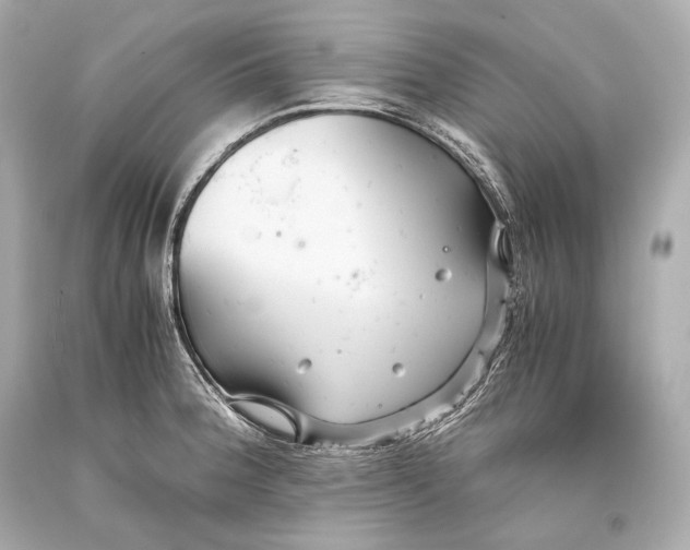 X0000093371188200711011222