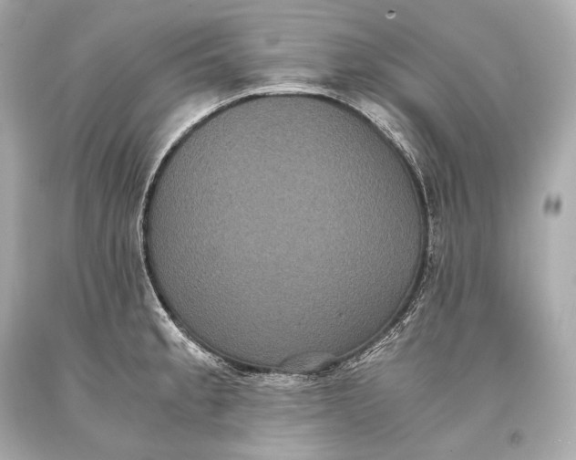 X0000093371189200711011222