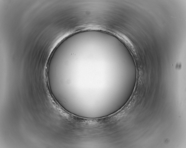 X0000093371190200711011222