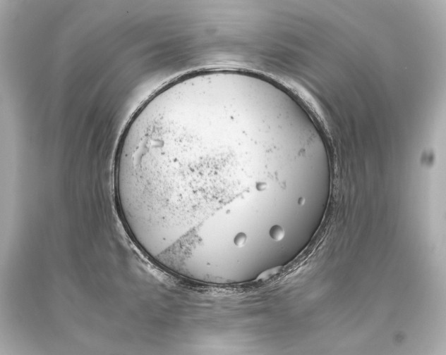 X0000093371191200711011222