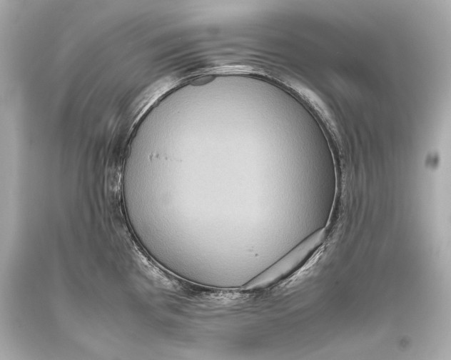 X0000093371193200711011222