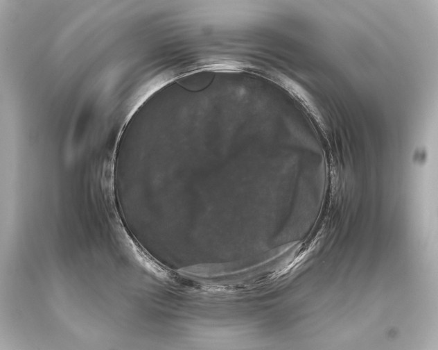 X0000093371194200711011222