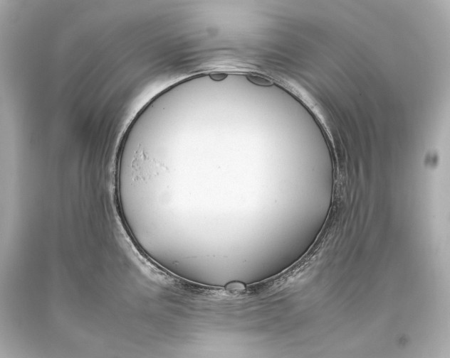 X0000093371195200711011222