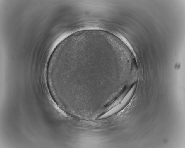 X0000093371197200711011222