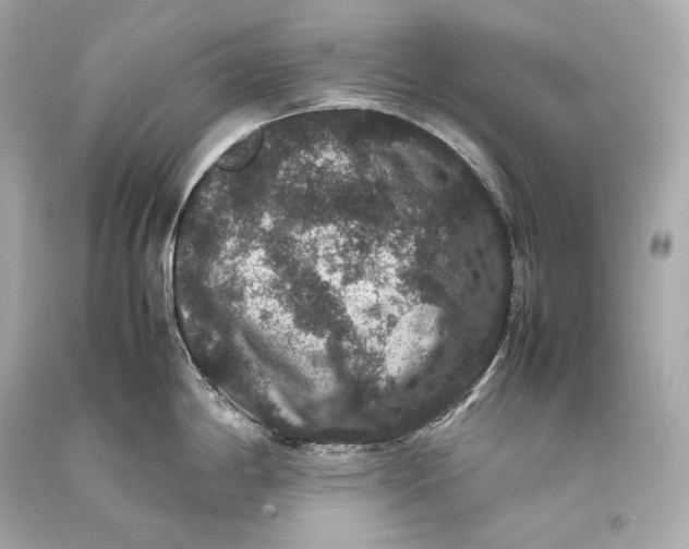 X0000093371198200711011222