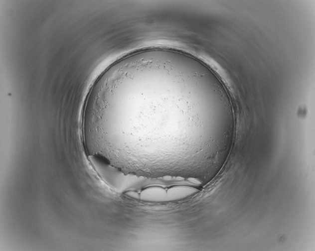 X0000093371199200711011222